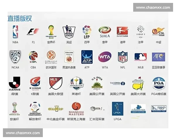 篮球赛事直播官网入口全方位指南与精彩赛事实时观看平台权威推荐 - 副本 (2) - 副本