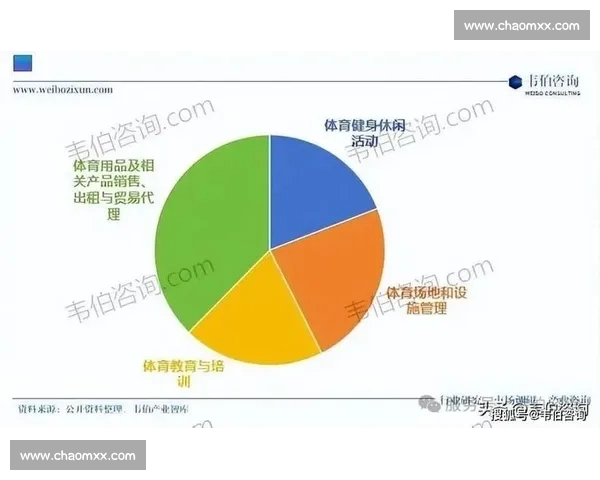 体育赛事学习的成本分析：是否值得投入时间与精力探索