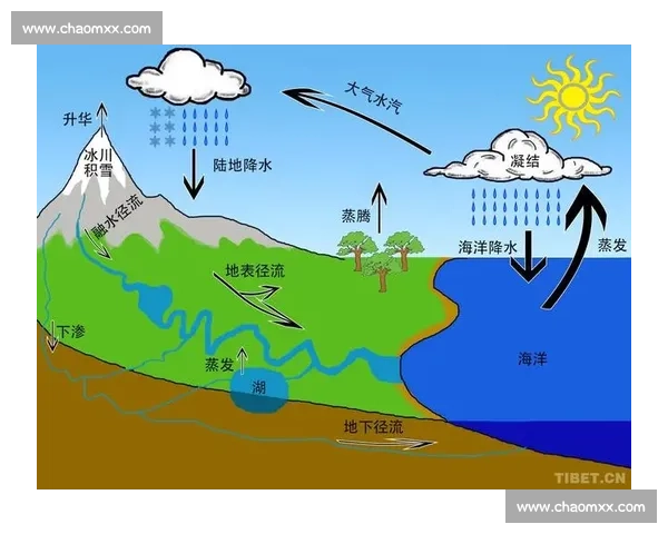 体育赛事科普全解析 从起源到发展 探秘各大赛事背后的故事与规则 体育赛事科普全解析 从起源到发展 探秘各大赛事背后的故事与规则